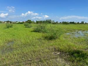 家立-安定12米大路寬2.