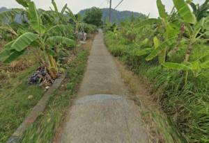 家立-近玉井市區便宜農地