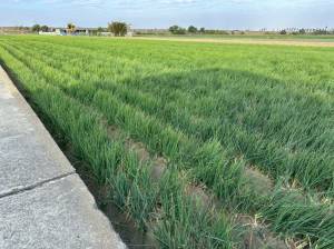 家立-安南區101坪便宜.