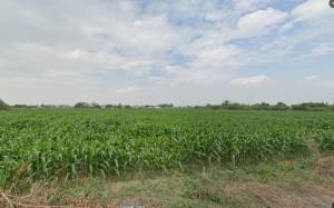 家立-適農保低總價美農地