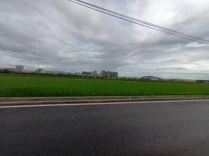 家立-橋頭高大旁優質美農.