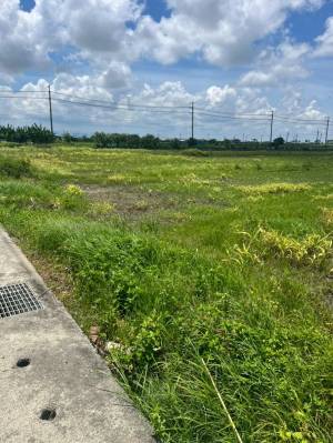 家立-佳里庄頭旁美地