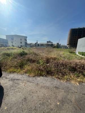 家立-仁德區近國一乙工稀.