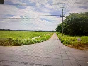 家立-歸仁區沙崙段投資農.