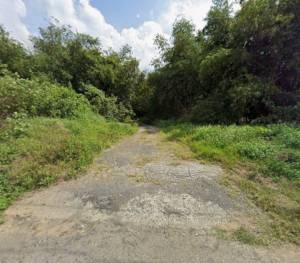 家立-歸仁區沙崙段投資農.