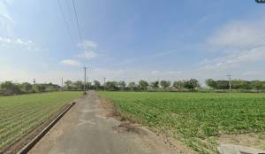 家立-鹽水低總價農保地