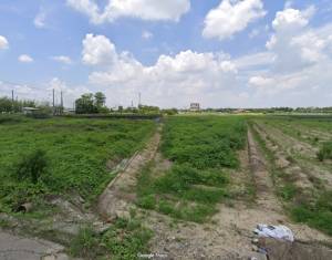 家立-柳營交流道旁美農地