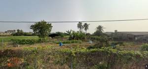 家立-白河近中正路美農地