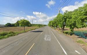 家立-15米路旁小而美農.